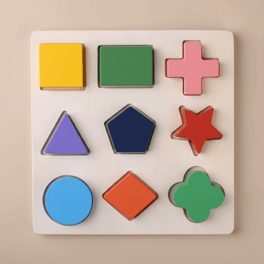 Montessori Wooden Shape Puzzle | Early Learning Sorting Toy